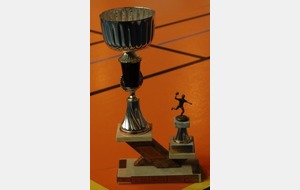 Soyons fiers: Vu sur http://www.handballisere.fr/