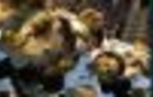 Supporters des équipes de France?