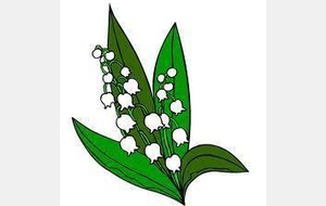 Muguet: ça ne tombe pas du ciel!