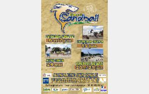 Le temps du Sandball approche