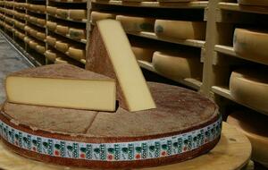Le palmarès des fromages