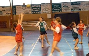 P1000236c.JPG