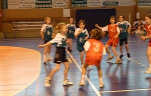 P1000237c.JPG