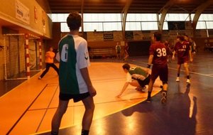 P1000274c.JPG