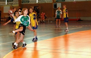 DSC_3327c.JPG