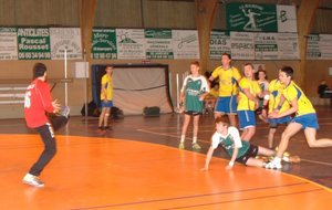 DSC_3356c.JPG