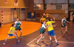 DSC_3330c.JPG