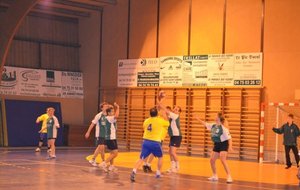 DSC_2936c.JPG