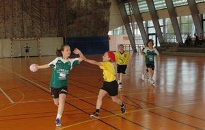 DSC_3375c.JPG