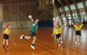 DSC_3376c.JPG