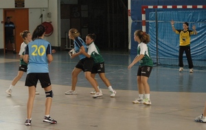 505f65fd68496_DSC_3528c.JPG