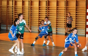 507ac932751d4_DSC_3821c.JPG