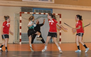 50b241a60a550_DSC_4129c.JPG