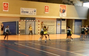 50b625e3865ba_DSCN2451c.JPG