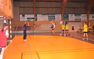 50de1698a232a_DSC_4609c.JPG