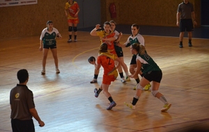 5140ba055595c_DSC_0770c.JPG