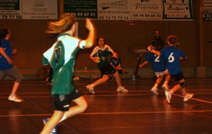 52eeaa4fb5a73_DSC03821c.JPG