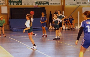 52eeb25f5397e_DSC04609c.JPG
