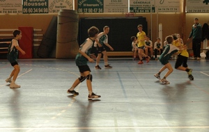 530b84fd00c20_DSC5313c.JPG