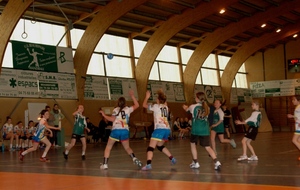 5342fff24841e_DSC5389c.JPG