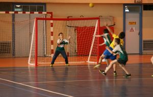 53898c4304917_HandballDernirerencontreBeaurepaire18mai2014021.jpg