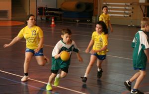 53898c45d195c_HandballDernirerencontreBeaurepaire18mai2014026.jpg