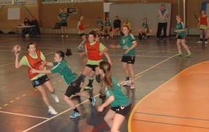 551c37c01b361_DSC6680c.JPG