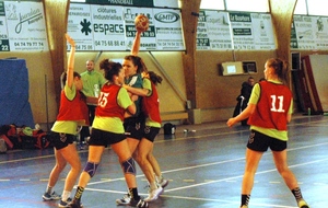551c37ccc041f_DSC6685c.JPG