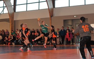 5846933510a73_DSC8340.JPG