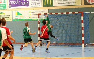 5a22655474a3d_IMG1090.jpg
