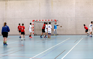 5a6e2a6baba38_IMG2240.jpg