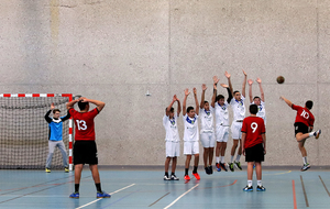 5a6e2a806671c_IMG2265.jpg