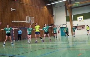 5a959062879b0_P1060462Copie.JPG