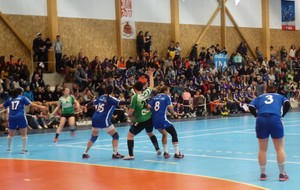 5e595b115016d_P1070547.JPG