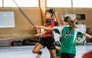 632f516ccde8d_HANDAURAUSBECHIROLLES32.jpg