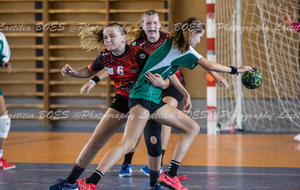 632f516d803a2_HANDAURAUSBECHIROLLES43.jpg