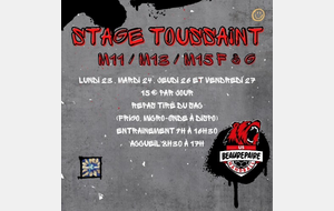 STAGE MULTISPORTS M11/M13/M15 TOUSSAINT 2023