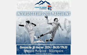 TOURNOI DEPARTEMENTAL INTER-SECTEURS