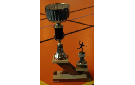 Soyons fiers: Vu sur http://www.handballisere.fr/