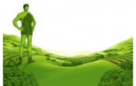 US Beaurepaire: Fort et Vert!