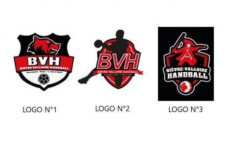 QUEL LOGO POUR L'ENTENTE BIEVRE-VALLOIRE HB ?