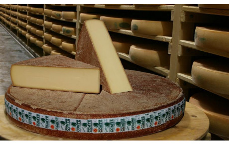 C'est râpé pour le Comté...