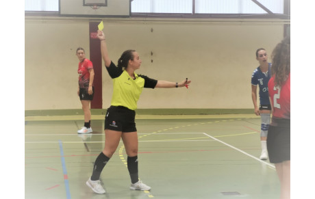 Zoom sur: La Section Arbitrage