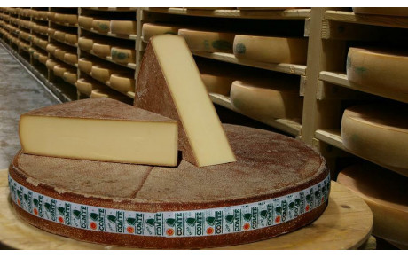 Projets Episode 2: Les Fromages