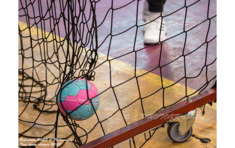 Sélections 2009, l'aventure continue